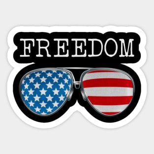 USA PILOT GLASSES FREEDOM Sticker